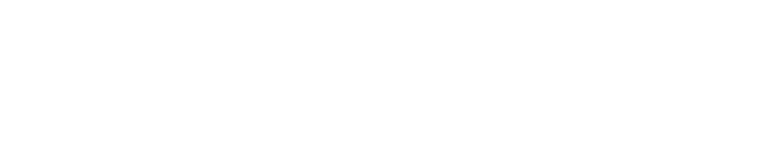 Overall Performance Score